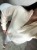 IMG_0621.jpeg