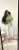 IMG_9186.jpeg