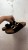 IMG_3628.jpeg