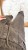 IMG_6419.jpeg